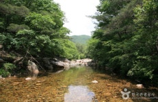 국내 여름휴가 가볼 만 한곳 추천: 속초 해수욕장, 부산 감천마을, 만수계곡