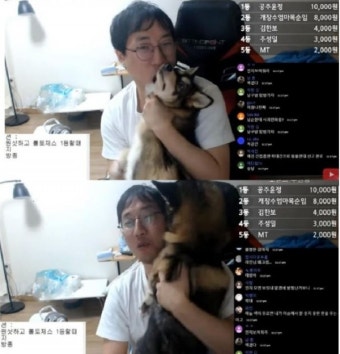 유튜버 승냥이 동물학대 영상 전시, 반려견 패대기 '내 개 때리는데 뭐'