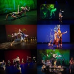 한국인 무용가 최초 브루클린음악아카데미 공연 이터널 나우 국내 개최