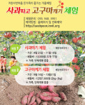 [거창 가볼만한곳] 서변마을에서 사과 따고 고구마 캐기 체험 하세요