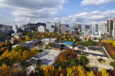 덕수궁 돌담길, 야간개장 등 4대 고궁 즐기기③, 서울 덕수궁