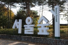 [서울 가볼만한 곳] 좋은 주말 날씨, 연인과 야외 데이트 장소 추천 -서울숲, 하늘공원, 노들섬