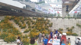 [현장스케치] 흙 전에 마사를 먼저 깔아주세요 2019 서울정원박람회