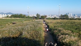 낮부터 밤까지 지하철로 가볍게 가을 나들이, 데이트 코스 소개 - 월드컵경기장역에서 신촌까지