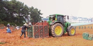 2019 젊은 농어업인들의 희망보고서 1편, 아성고구마농장 이응찬 대표