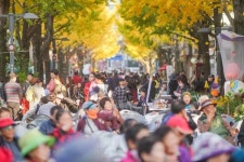 [순천 문화행사] 향동 제7회 마을축제 은행나무 아래로 열려