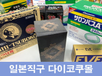 오약사의일본구매대행 | 다이코쿠몰 일본직구 쇼핑몰 카베진, 샤론파스 등 연말할인