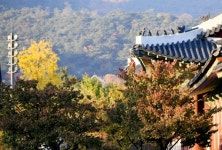 [MHN 이번주 날씨] 12월의 첫주 겨울 추위 시작