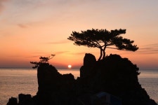 [경주 가볼만한 곳] 동해의 일출 명소 바로 여기…경주로 떠나는 해돋이 여행