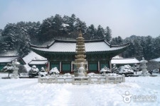 [국내 겨울 여행] 환상적인 설국으로 떠나자! 국내 설경 명소 TOP 4...오대산 월정사, 설악산, 대청호 오백리길, 소백산국립공원