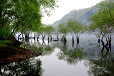 [국내 겨울 여행] 환상적인 설국으로 떠나자! 국내 설경 명소 TOP 4...오대산 월정사, 설악산, 대청호 오백리길, 소백산국립공원