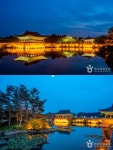 [설날 가볼만한곳] 전라도 ⑥ - 경주 동궁과 월지, 전주 한옥마을, 보성 율포해수녹차센터