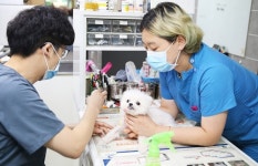 서울예술실용전문학교 동물보건사 양성을 위한 실무 교육 확대