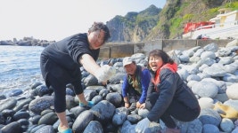 [EBS 한국기행] 이곳이 그들만의 지상낙원, 혹시 섬이랑 썸타나요?