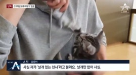 동물학대 수의사? 자칭 날개없는 천사 유튜버 갑수목장 자격박탈 청원 등장