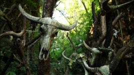 세계테마기행 (EBS1) 중국 소수민족 기행 아름다움이란