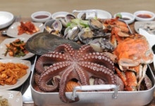 2TV 저녁 생생정보통 맛집 오늘 맛집 위치 어디? 8단 육해공 찜-6,000원 반계탕+무제한 닭죽-사천 짜장