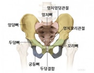 [MHN 건강] 현대인과 골반 틀어짐...자가진단과 스트레칭 방법