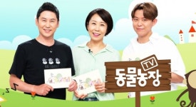 [SBS TV 동물농장] 이번 주 방송 관전포인트, 민박집 강아지와 화성 하얀 여우