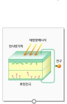 [MHN과학] 태양광 발전 에너지...시장 전망은?