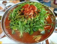 2TV 저녁 생생정보통 맛집 오늘 맛집 위치 어디? 삼채짬뽕, 불고기짜장면, 민물매운탕, 붕어찜 소개