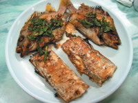 SBS 생방송 투데이 방송 맛집 위치와 특징은... 서대, 갈치, 쑥 아이스크림, 게장, 메밀 김밥, 고기 김밥, 참전복 요리 소개