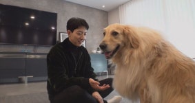 SBS TV 동물농장 씨엔블루 이정신의 SOS, 도와주세요, TV 동물농장!