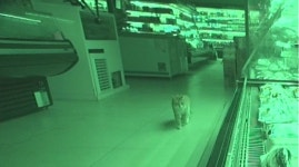 [SBS TV 동물농장] 순자네 12남매의 좌충우돌 육아일기