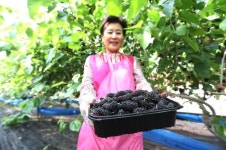 생방송 오늘저녁 오늘 방송 맛집 위치는? 주말농장, 발효식품, 전통된장 맛집 소개