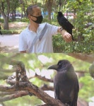 순간포착 세상에 이런 일이, 거장을 꿈꾸는 10살 천재 작곡가