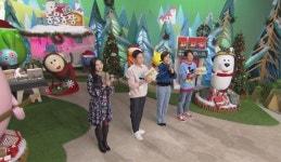 SBS TV동물농장, 출산 후 사고뭉치가 된 견공 헵번이와 캠핑장 미스터리