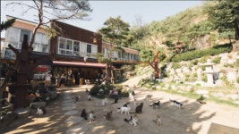 생방송 오늘저녁 오늘 방송 고양이카페와 계란말이 김밥 맛집 소개, 위치는?