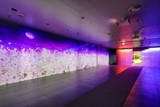 국립중앙도서관, 실감형 체험공간 지식의 길 개관