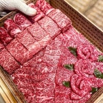 생방송 투데이 오늘 방송 맛집은? 짜장면, 스페인 음식, 한우구이 맛집 소개