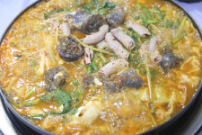 생방송 투데이 오늘 방송 맛집은? 단양 맛집, 해물찜, 분식 맛집 소개