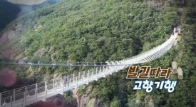 [KBS 6시 내고향] 춘천 단호박 밥상, 진안군 명품 한상...별미 물가자미 찾아간 곳은?