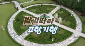 [KBS 6시 내고향] 춘천 가지·신안군 여름 민어·파주시 숯불갈비 등 여름별식 대공개