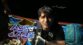 [KBS 6시 내고향] 입맛 살리는 깻잎·서천군 보구치·곡성군 섬진강 인심 담긴 한상