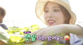 [KBS 6시 내고향] 입맛 살리는 깻잎·서천군 보구치·곡성군 섬진강 인심 담긴 한상