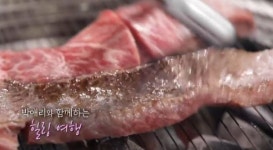 [KBS 6시 내고향] 향긋한 도라지·제주 해녀체험·포천 갈비 맛집 소개