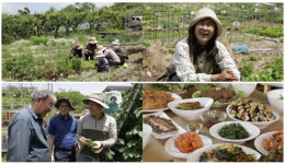 [한국인의 밥상] 연어솥밥, 열무김치, 깍두기, 오이만두, 임자수탕 소개