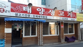 생방송 투데이 오늘 방송 맛집은? 갈치조림, 더덕막국수 맛집 소개