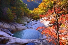 위드플, 가을여행 신상품 4종 선봬