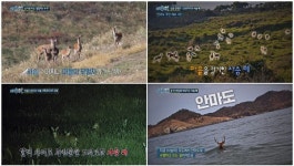 [MBC 실화탐사대] 푸른 눈의 습격자 → 어린이집 원장 갑질