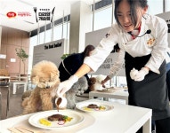 하림펫푸드, 해피댄스 스튜디오 리뉴얼…반려동물과 함께하는 투어 프로그램 재개 