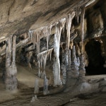 생방송 투데이 오늘 방송 맛집은? 평창군 맛집, 바베큐, 우리 동네 반찬 가게, 분식 맛집 소개