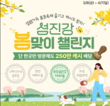 꽃길 따라 섬진강...섬진강권 통합 관광벨트 릴레이