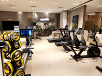 고고런, 판교로 사업 확장 이전…신세계∙현대 백화점 팝업스토어 오픈