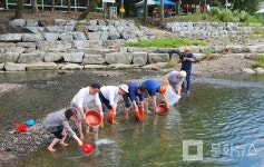 청주시 어종 자원 관리 쏘가리 치어 방류 ㅡ 미원면 금관숲에서