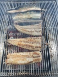 생방송 투데이 오늘방송맛집 한우물의 법칙外...삼계탕, 갯벌장어 맛집 소개